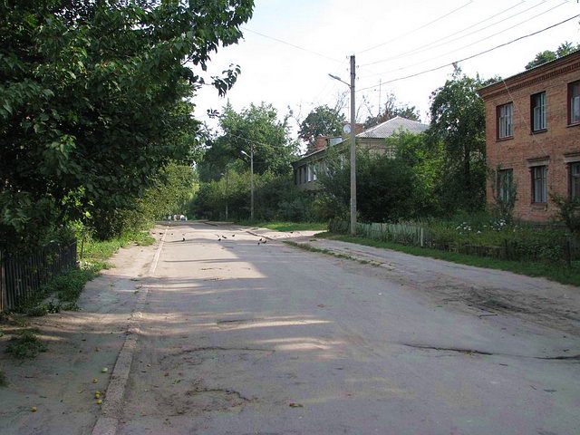 Улица Фисановича в Харькове, 2009 г.