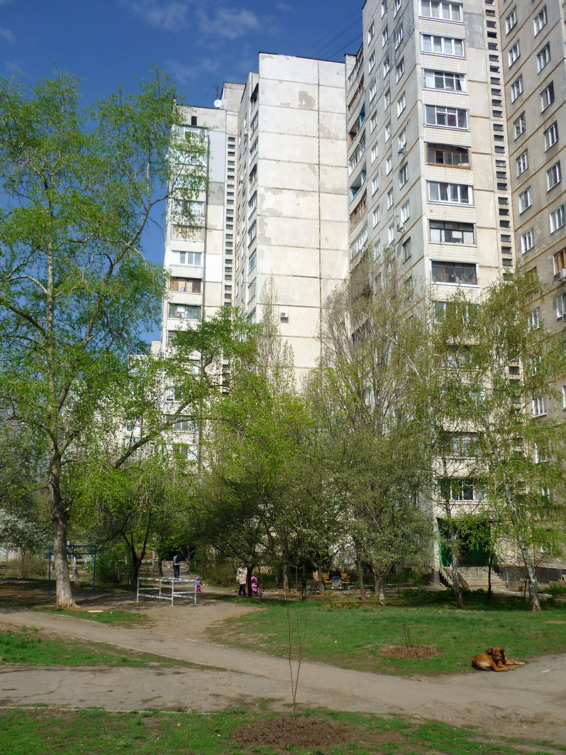 Дом 71б, пр.Победы