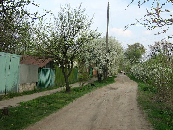 Улица Азовская в Харькове, микрорайон Журавлёвка