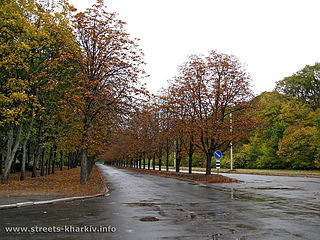 Проспект Академика Курчатома, Харькоа