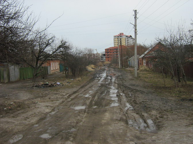 Ул.Демьяна-Бедного, Журавлёвка