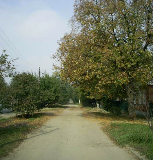 Кривоконевская, город Харьков