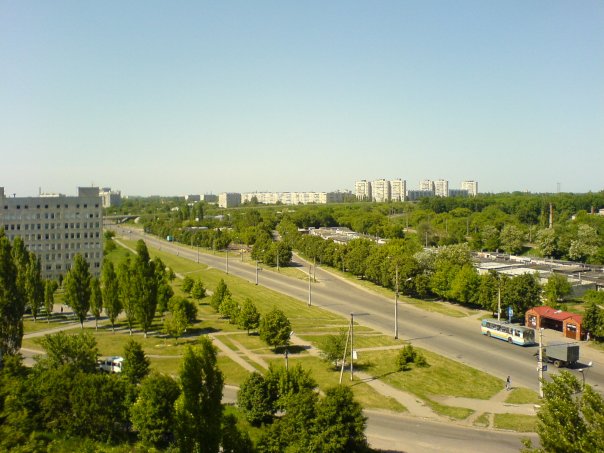 Перекрёсток Луи Пастера и Роганской, Роганский жилмассив