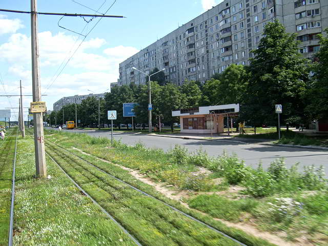 Проспект Победы днём летом, Алексеевка