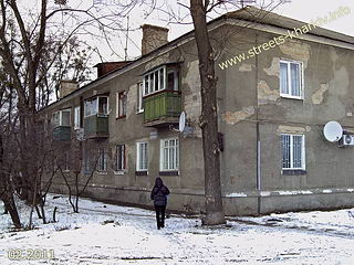 Дом 39 по ул. Камышева