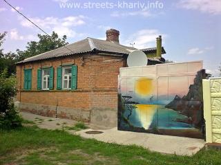Картина на воротах, ул. Черкасская