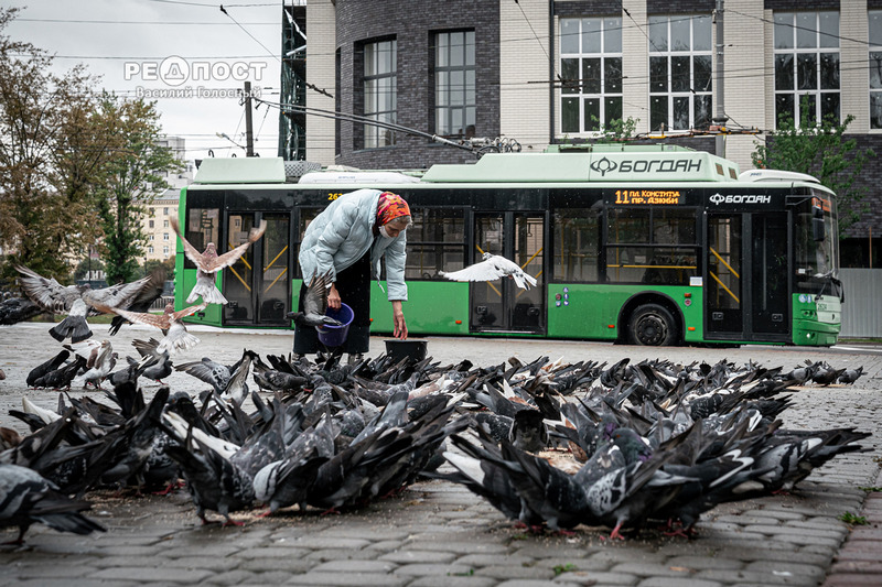Женщина кормит голубей на троллейбусной остановке. Харьков 2022