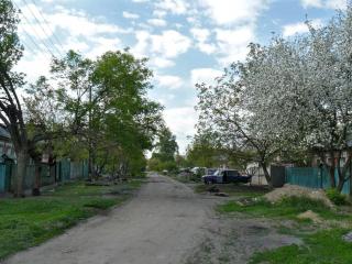 Улица Карпатская