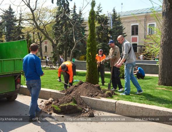 В Харькове высаживают деревья