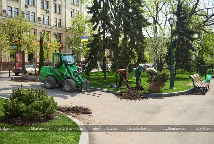 Деревья в Харькове