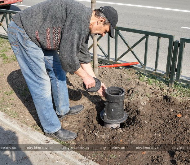 Водо для деревьев